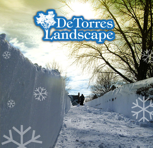 Commercial Landscaping Fall Winter, Winter Services For Landscapers